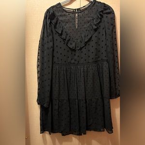 Zara NWOT dress